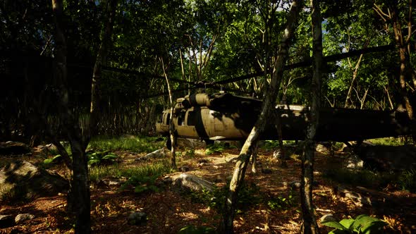 Military Helicopter in Deep Jungle