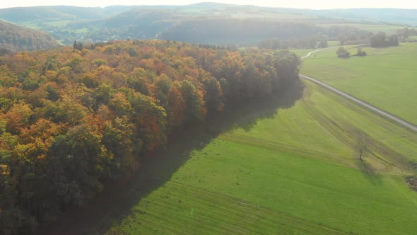 drone flight over beautiful autumn colored forest and autumn landscape