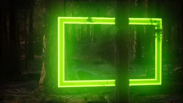 Neon Glowing Rectangle Frame in the Night Forest