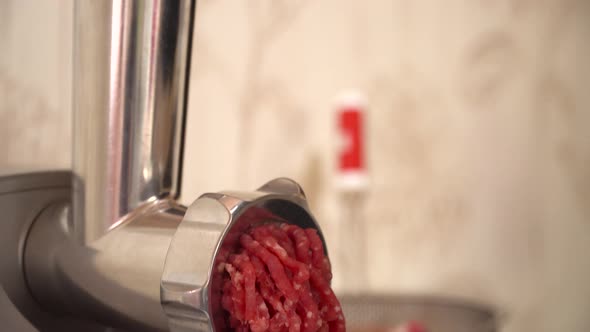 Electric Meat Grinder