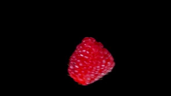 Two Large Juicy Raspberries Are Colliding with Drops of Water 