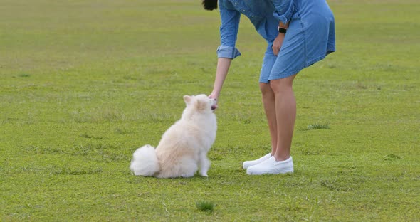 Woman play with her dog at park