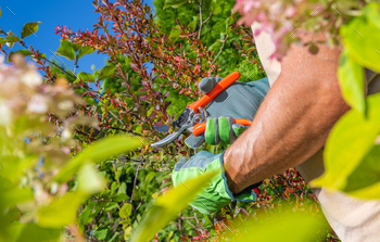 Gardener Trimming Branches Inside a Garden