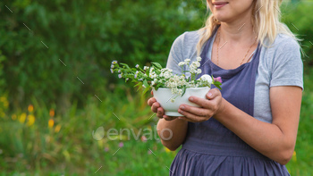 A woman in the garden collects medicinal herbs for tinctures and alternative medicine