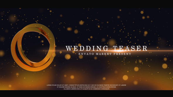 Wedding Teaser