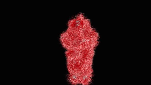 Red Shaggy Dancer