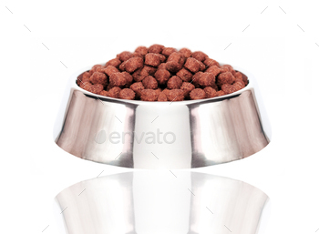dog food isolated