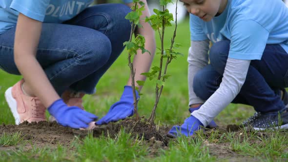 Happy Female Volunteer Smiling to Daughter Planting Tree in Forest, Ecosystem