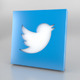 Twitter Icon Logo - 3DOcean Item for Sale