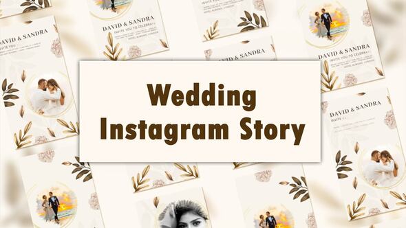 Wedding  Instagram Story