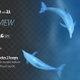 Dolphin 21 - VideoHive Item for Sale
