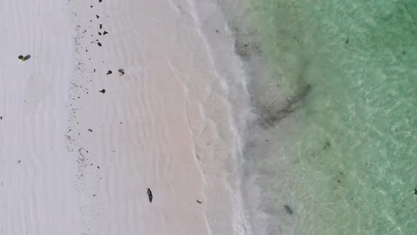 Boats are Anchored Off the Coast on Shallow Ocean at Low Tide Aerial Zanzibar