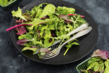 Vegetarian green salad, diet menu.