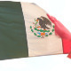Mexican Flag - VideoHive Item for Sale