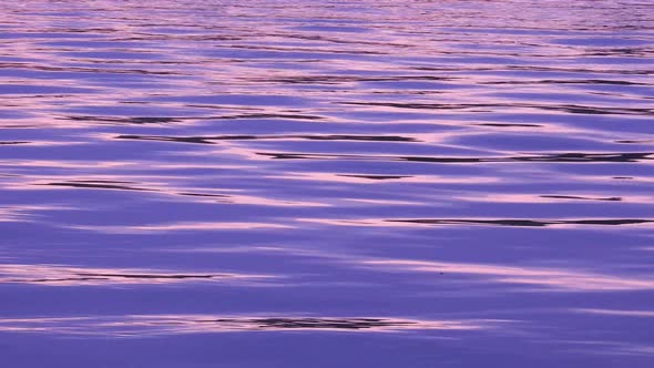 Small water waves at sunset in the lake