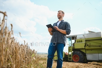 Combine harvester driver going to crop rich wheat harvest.