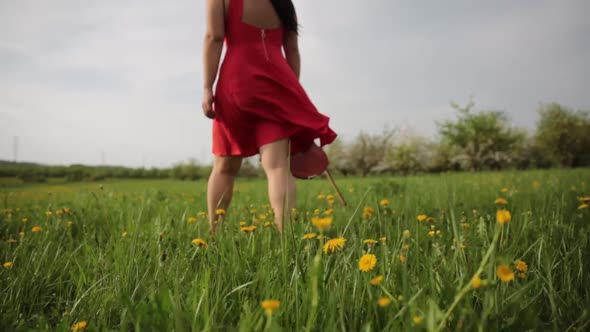 a red dress girl with a violin walking in the grass