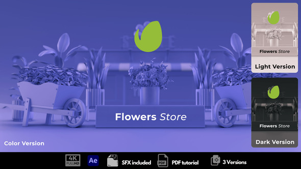 Flowers Store