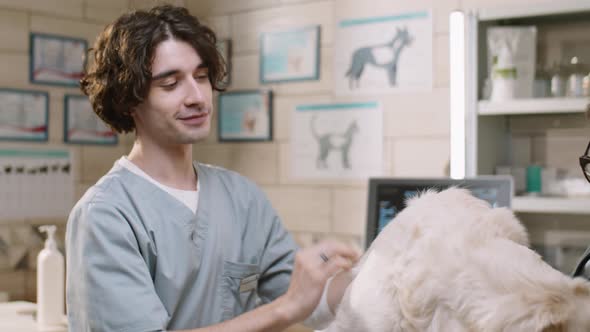 Vet and Woman Petting Dog and Talking in Clinic