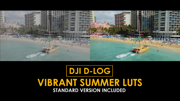 DJI D-Log Vibrant Summer LUTs