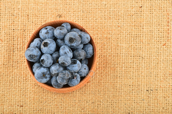 Handful of blueberries in wooden bowl on canvas