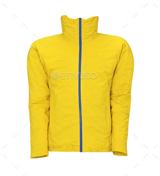 yellow jacket isolated on white