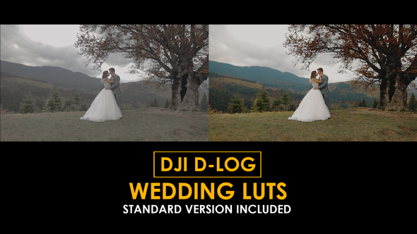 DJI D-Log Wedding LUTs alt