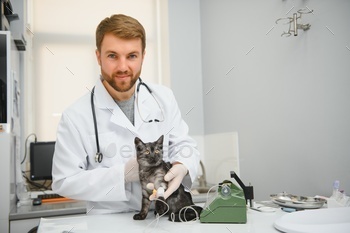 Cat on examination table of veterinarian clinic. Veterinary care. Vet doctor and cat.
