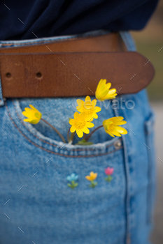 yellow flowers in jeans pocket