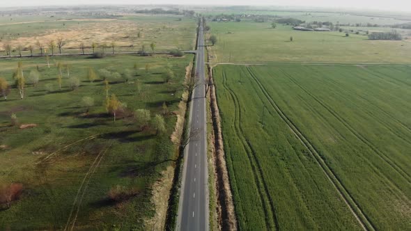 Road in the Green Field