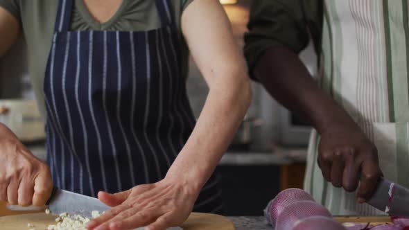 Mixed race couple wearing aprons chopping vegetables together in the kitchen at home