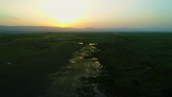 Sunset In The Reeds