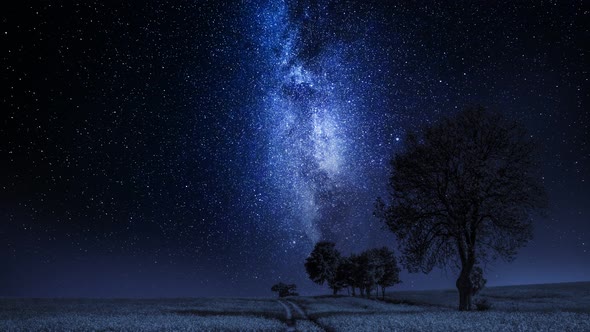 Moving milky way and field with trees at night, timelapse, 4K