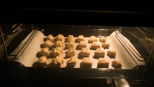 Christmas Cookies in the Oven