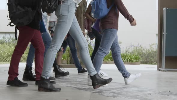 College students walking together in campus