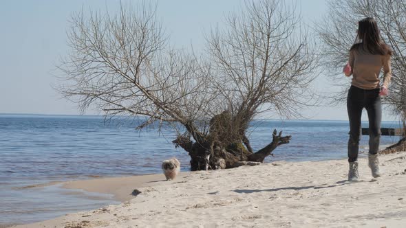 Lady in Sweater Plays with Little Shih Tzu Dog on Sand