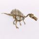 Dinosaur Skeleton - 3DOcean Item for Sale