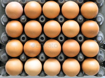 Egg tray black plastic stack