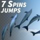 Dolphin Spins - VideoHive Item for Sale