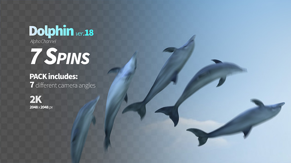 Dolphin Spins alt