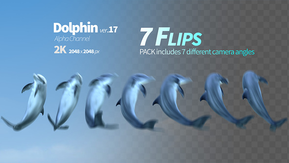 Dolphin Flips alt