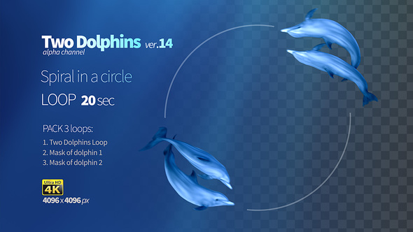 Two Dolphins 14