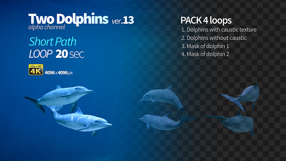 Two Dolphins 13