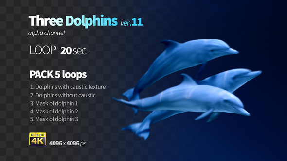 Three Dolphins 11