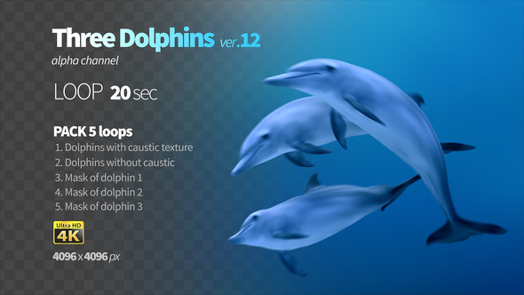 Three Dolphins 12
