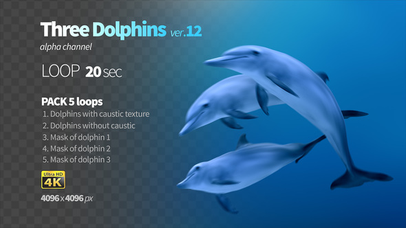 Three Dolphins 12 alt