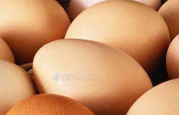 eggs background view