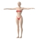 Stylized Female 01 T-Pose Base Mesh - 3DOcean Item for Sale