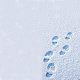 Footsteps Snow