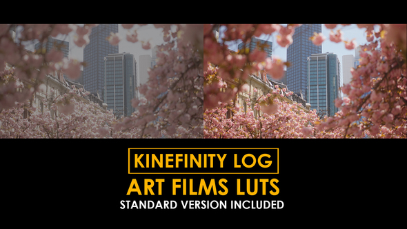 Kinefinity Log Art Films and Standard LUTs